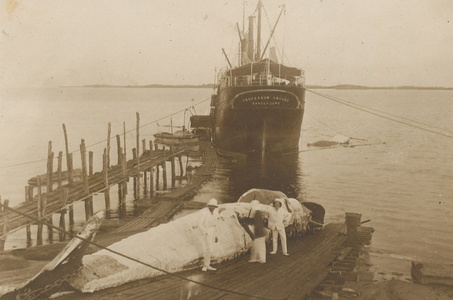 1927 gabon port gentil baleinier1b