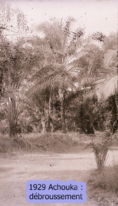 1929 gabon achouka1