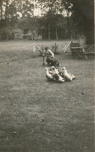 1939 coulombiers claude chauvigne chien rex13