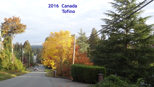 île de Vancouver Victoria vers Tofino  Colombie-Britannique