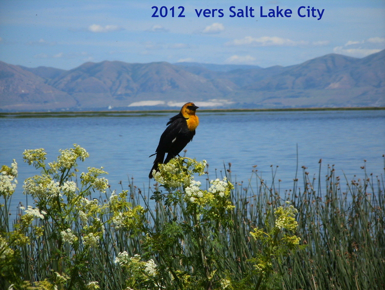20120601_Salt_Lake_City2.JPG