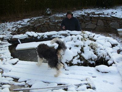 20120210 cisco revestelle sous la neige