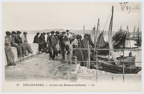 Douarnenez - Arrivée des bateaux sardiniers