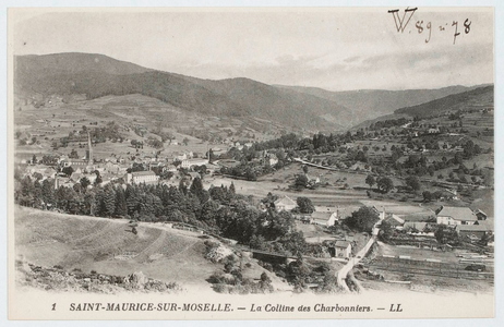 Saint-Maurice-sur-Moselle - La colline des Charbonniers
