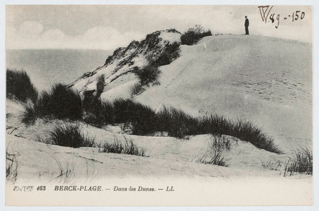Berck-Plage - Dans les dunes