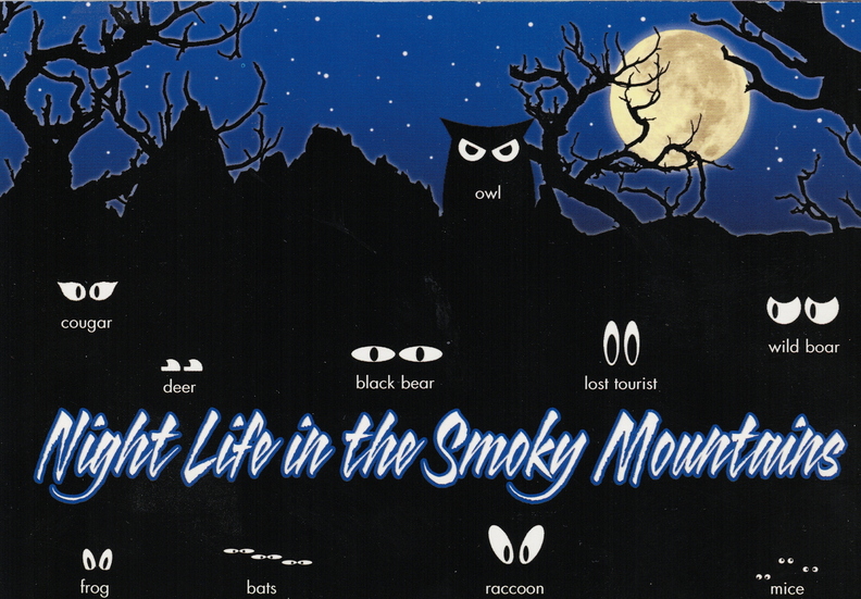 Night_life_in_the_Smoky_Mountains.jpg