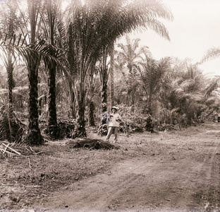 1929 gabon achouka serge chauvigne
