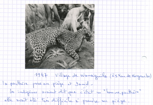 Zé la panthère, 1947, Wayombo