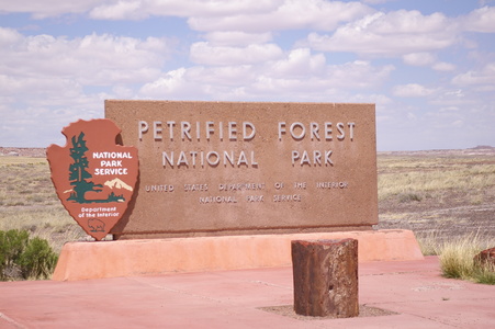 Petrified Forest Arizona