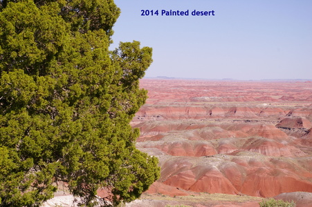 Painted desert Arizona