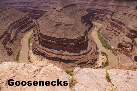 goosenecks Arizona
