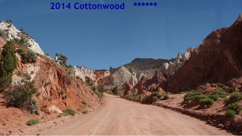 20140516_292_cottonwood3.jpg
