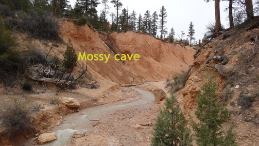 mossy cave Utha