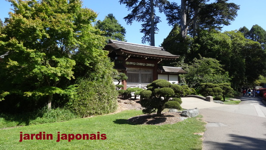 San Francisco Californie Jardin japonais1