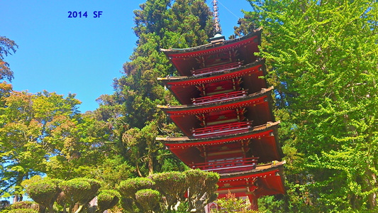 San Francisco Californie Jardin japonais