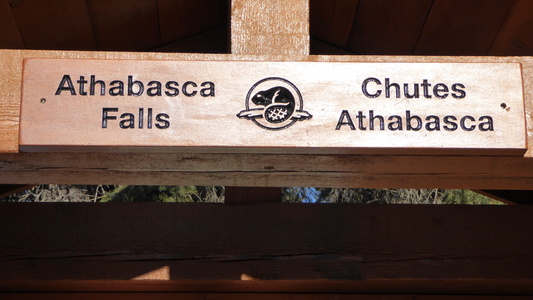 athabasca falls  Alberta
