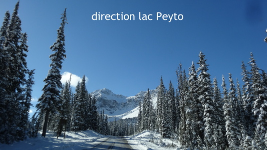 vers Lac peyto  Alberta