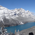 Lac Peyto  Alberta