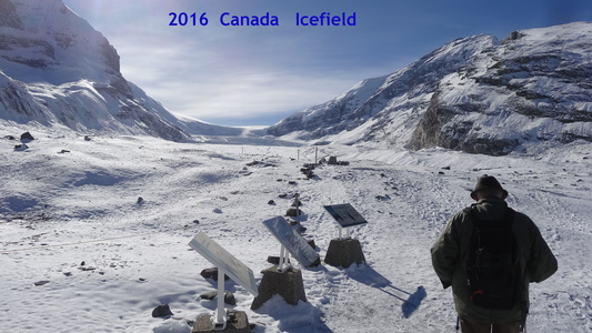Icefield Alberta