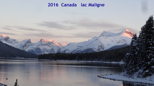 vers Lac Maligne  Alberta