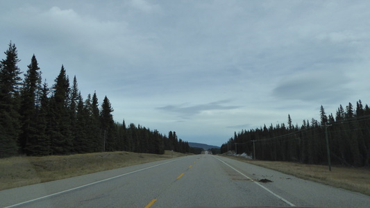 route 11 Alberta