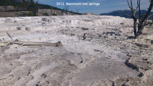 Mammoth Hot Spring Wyoming