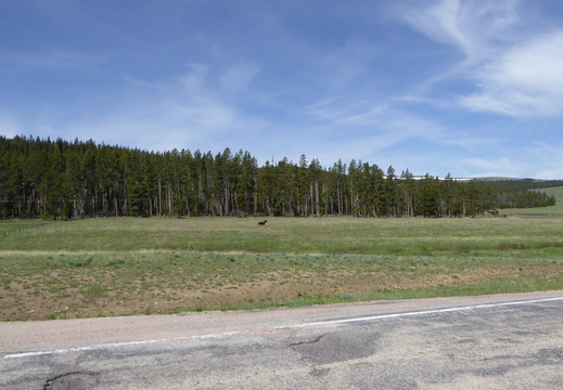 Les vertes prairies du Wyoming