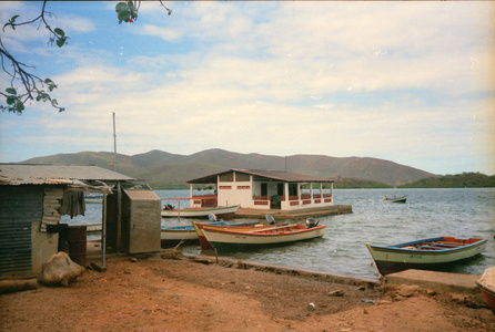 1988Venezuela83