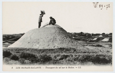 Les marais salants - Transport du sel sur le mulon