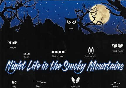 Night life in the Smoky Mountains
