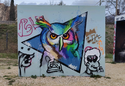 Chouettes, Zhiboux & tutti quanti