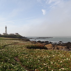 Phare de Pigeon Point sur le Pacifique en Californie